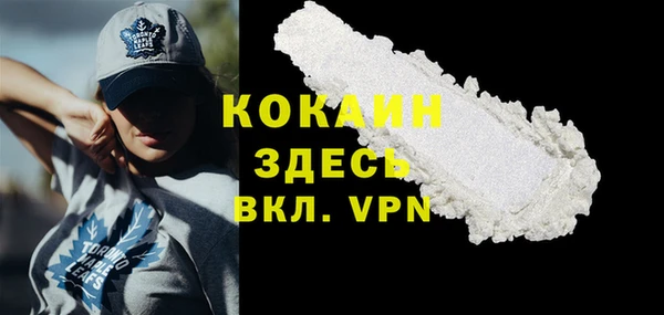 дживик Арсеньев