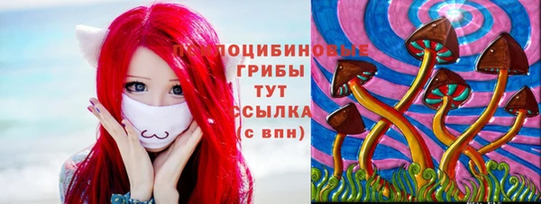дживик Арсеньев