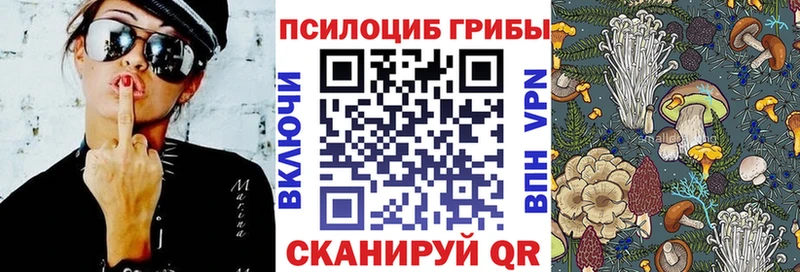 Псилоцибиновые грибы Psilocybe  Купить где  Камышлов 